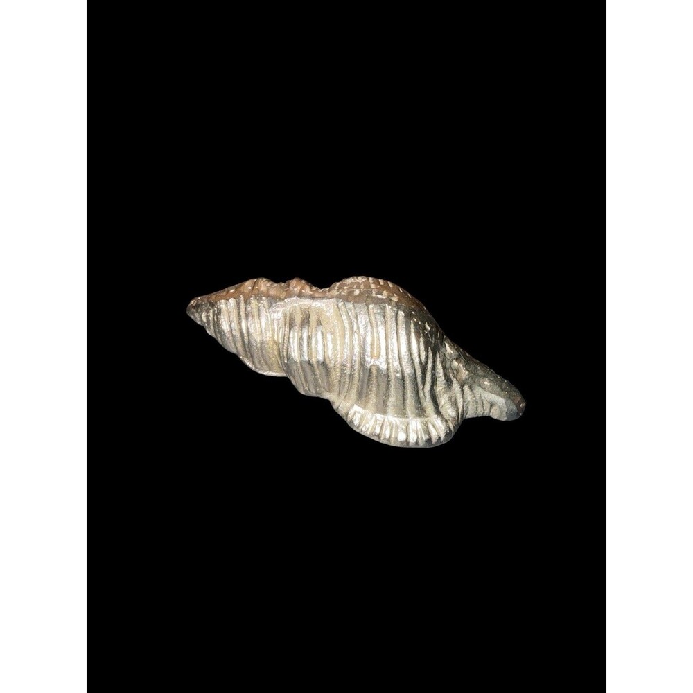 Small Silver Cast Metal Conch Shell beach house Decorative Display Shelf Sitter